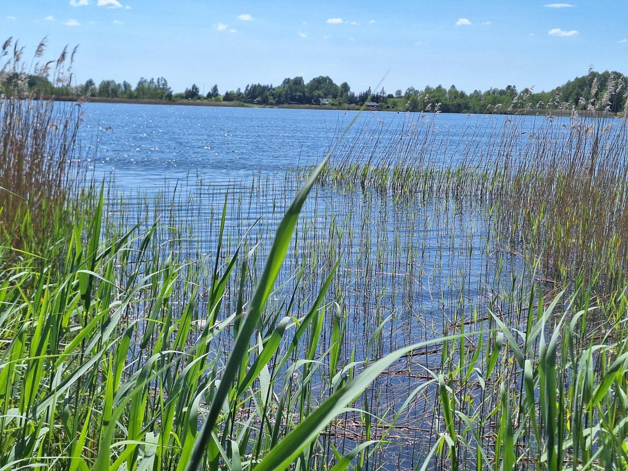 Nad Jeziorem Kroszewo Ferienhaus *